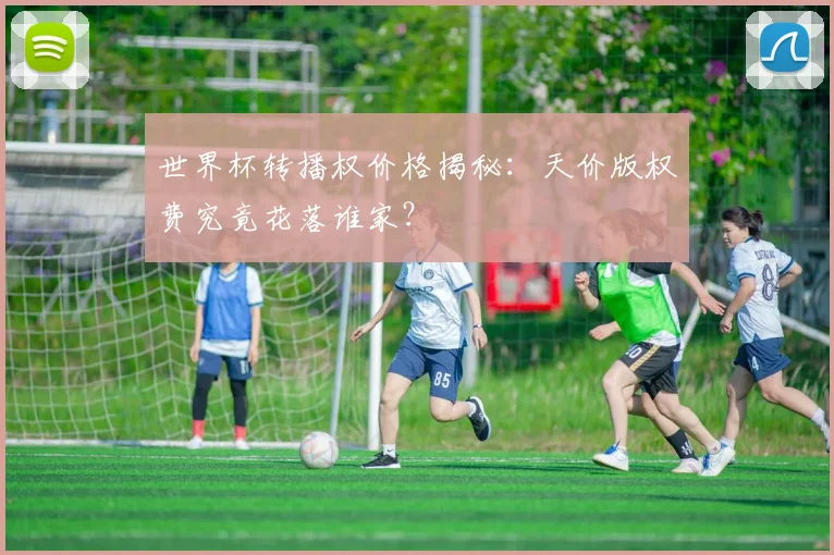 世界杯转播权价格揭秘:天价版权费究竟花落谁家?